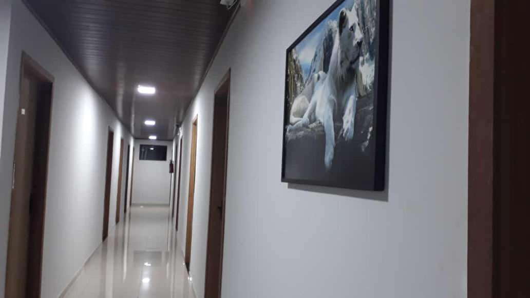 Hotel Rof Telêmaco Borba Esterno foto